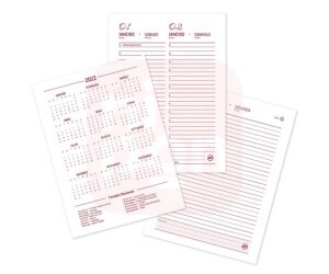 Agenda Executiva A6 Milk 2022 - DAC