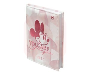 Agenda Executiva A6 Minnie 2022 - DAC