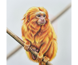 Estojo de Tecido Supersoft com 72 Cores -  Faber-Castell