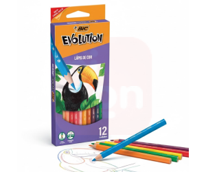 Lápis de Cor Sextavado Evolution 12 Cores  – BIC