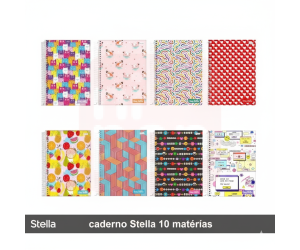 Caderno 10 Matérias