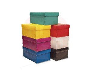 Caixa Organizadora para Sapato